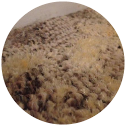 Carpet Mould Treatment