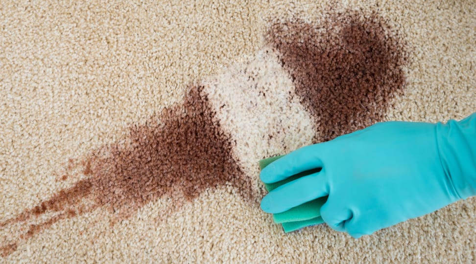 remove stains and grime from carpet
